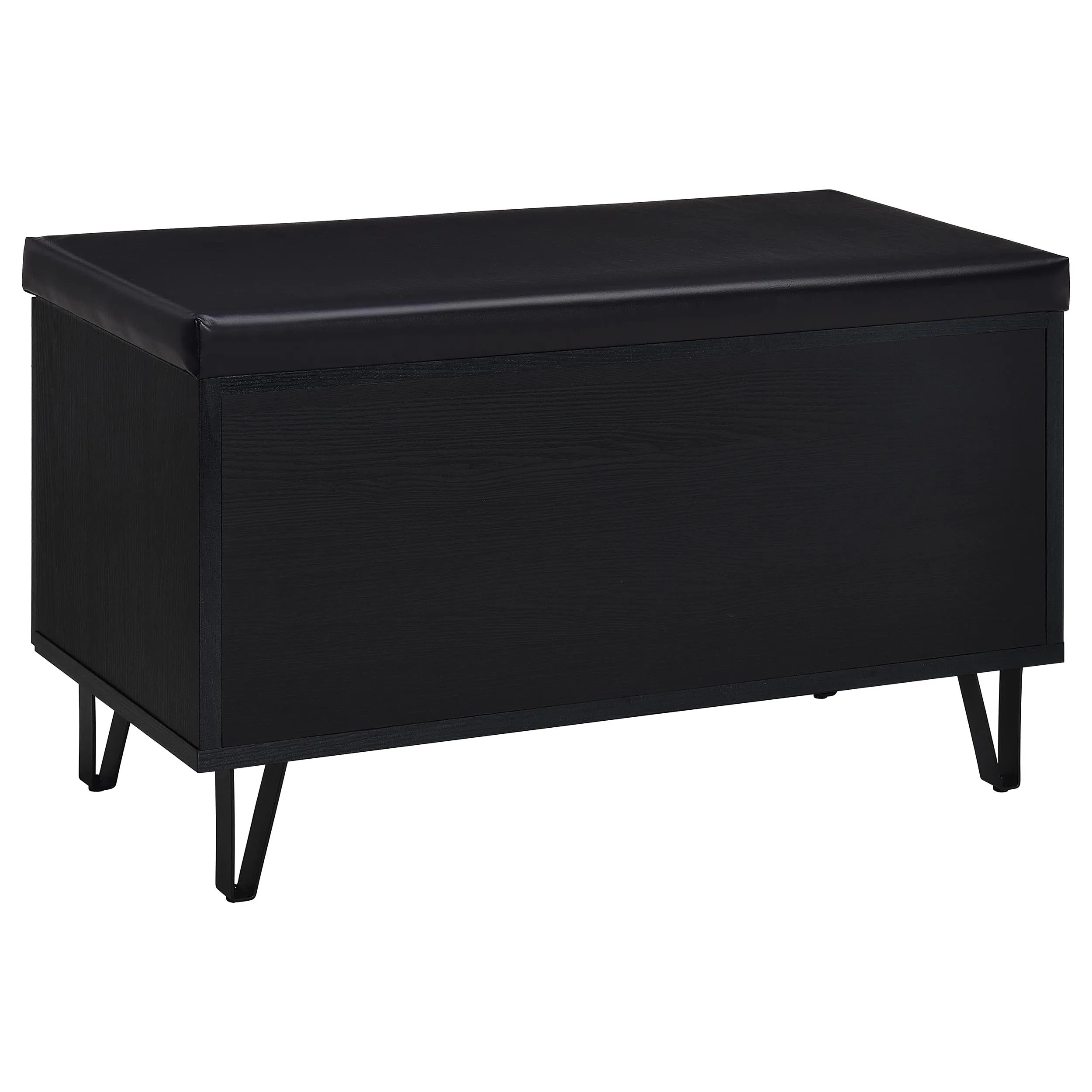 Brixton 2-door Padded Entryway Shoe Storage Bench Black
