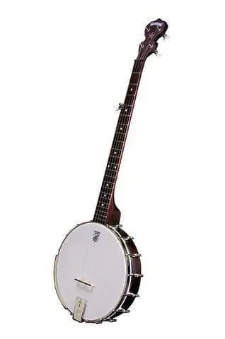 Deering Classic Goodtime Special Openback 5-String Banjo