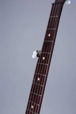 Deering Classic Goodtime Special Openback 5-String Banjo