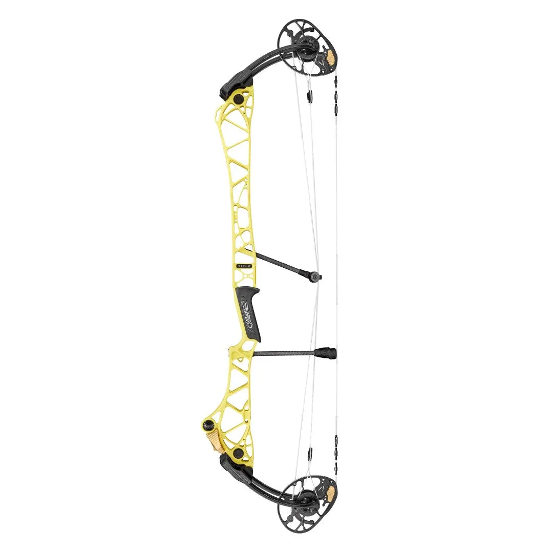 Mathews Title 38