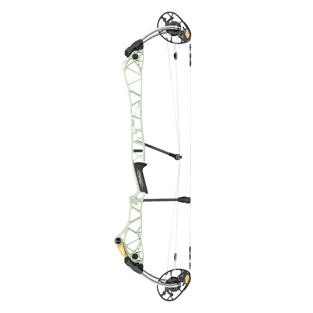 Mathews Title 38
