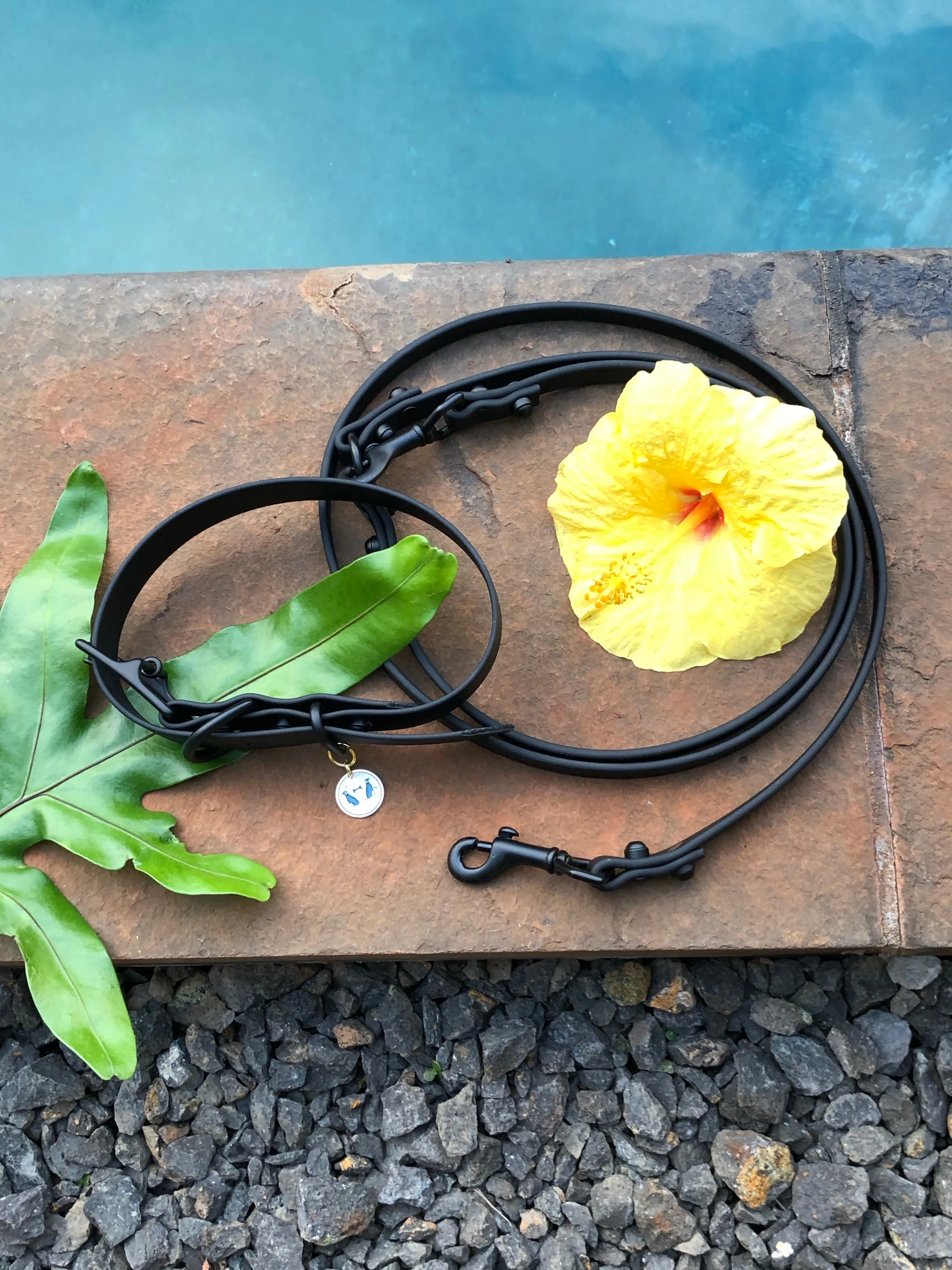 Multi-Way Waterproof Leash: IMI - Black   Black