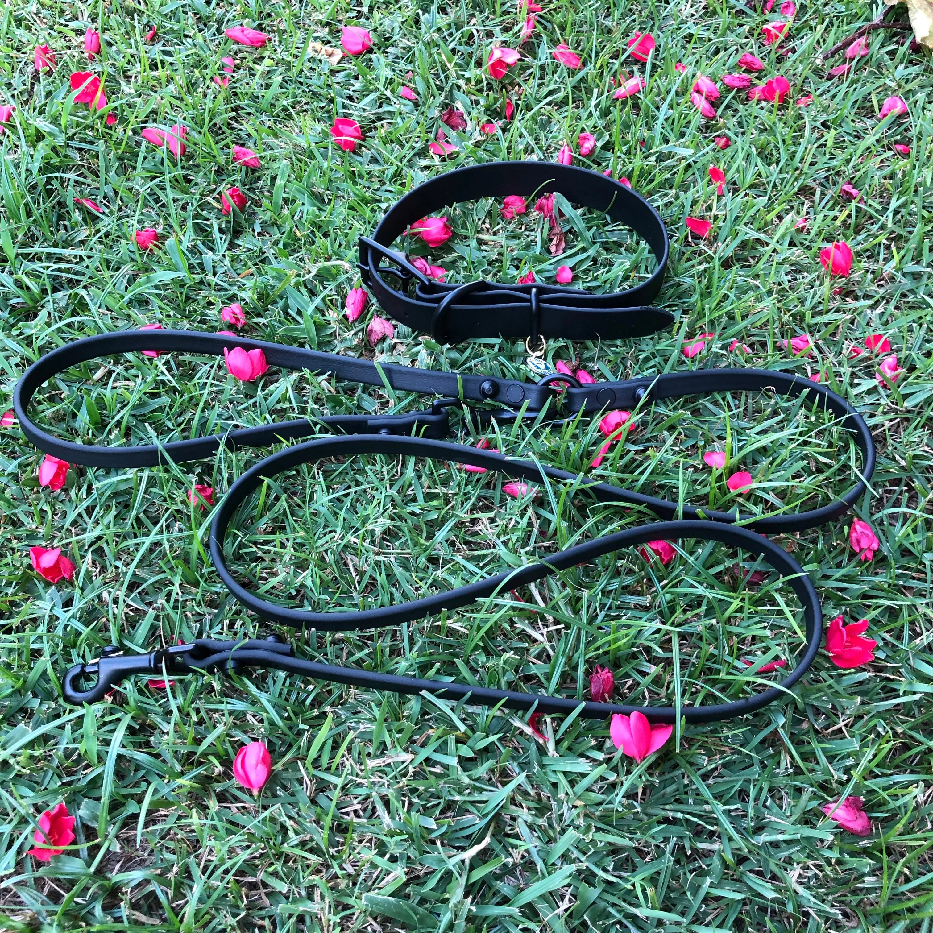 Multi-Way Waterproof Leash: IMI - Black   Black