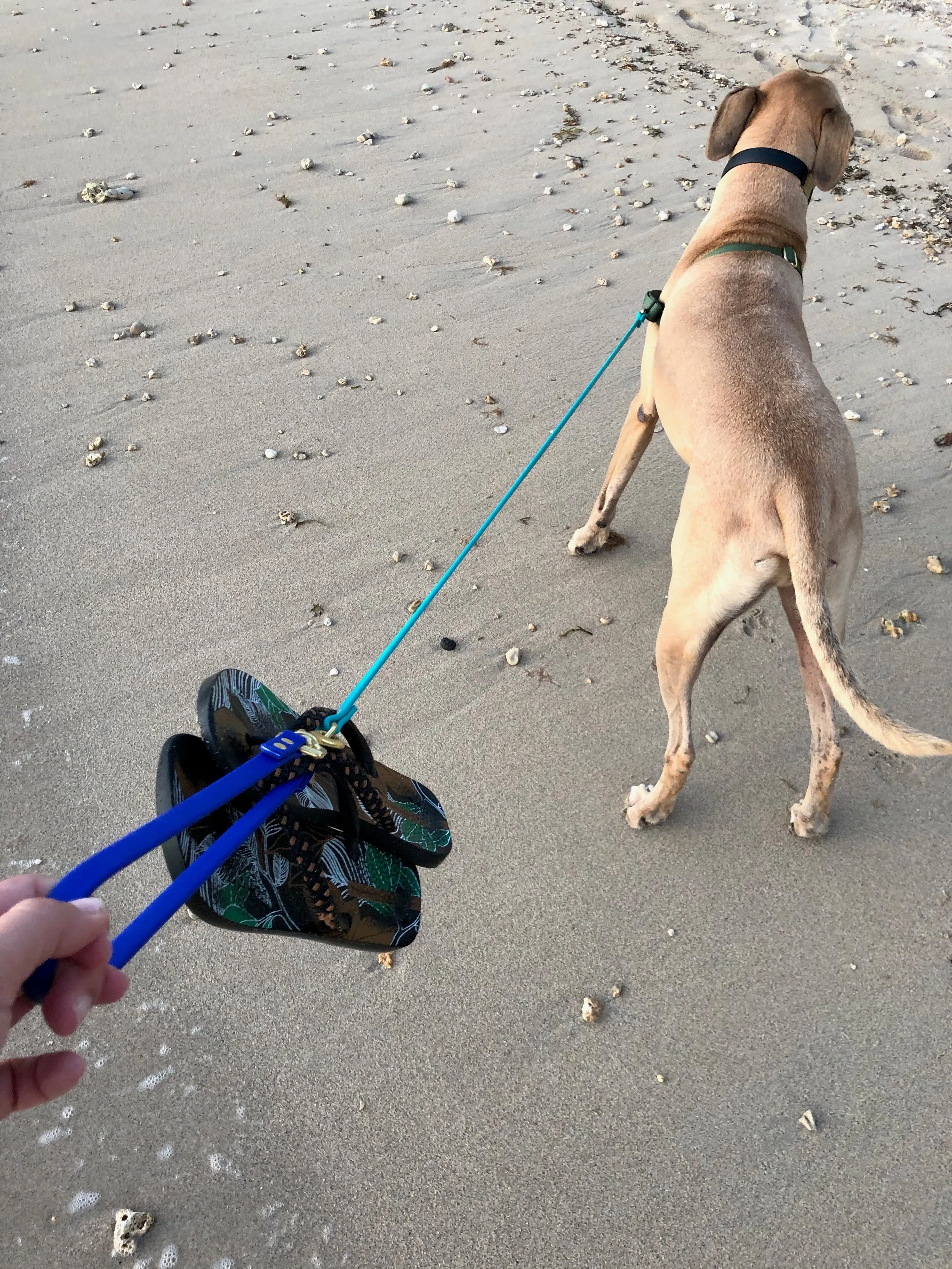 Multi-Way Waterproof Leash: Neon Pink   Black   Black