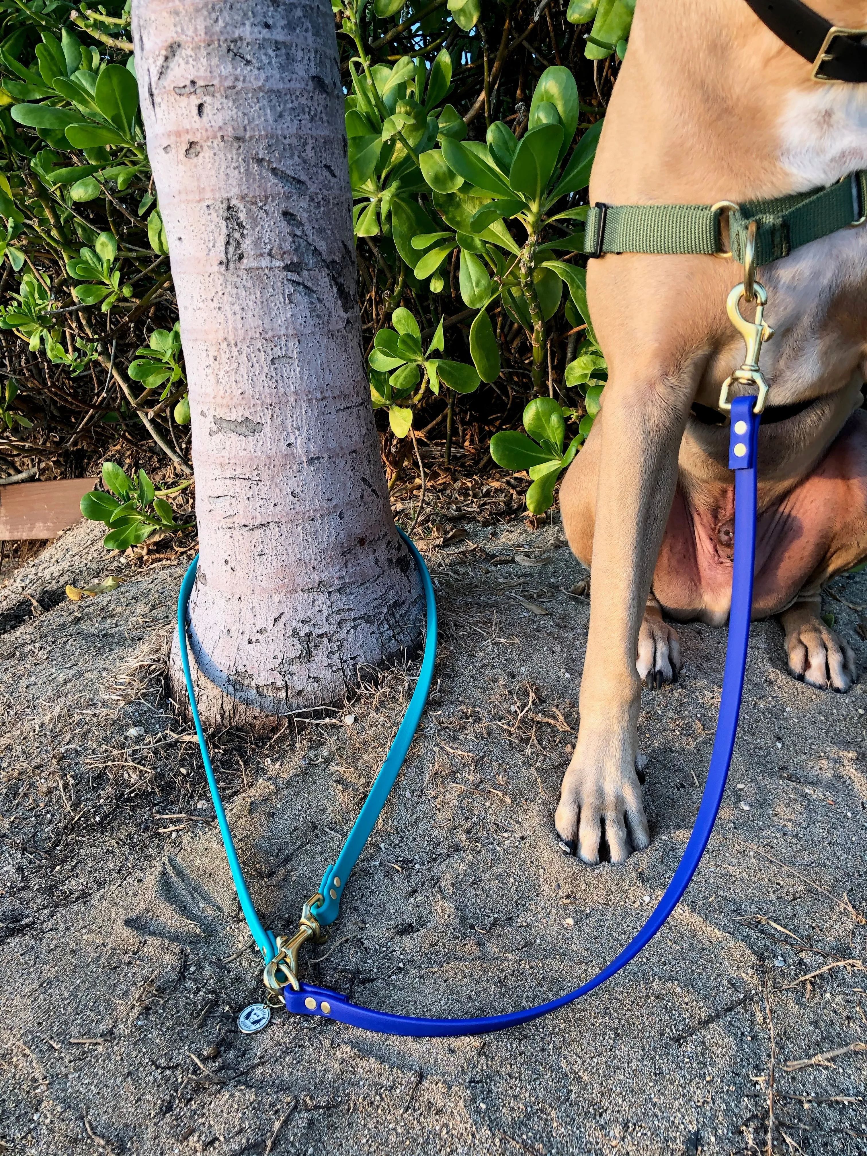Multi-Way Waterproof Leash: Neon Yellow   Black   Black