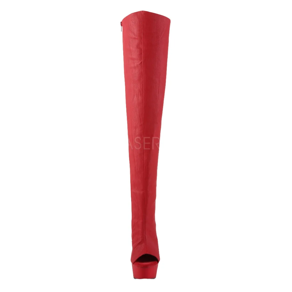 Pleaser DELIGHT-3019 Boots