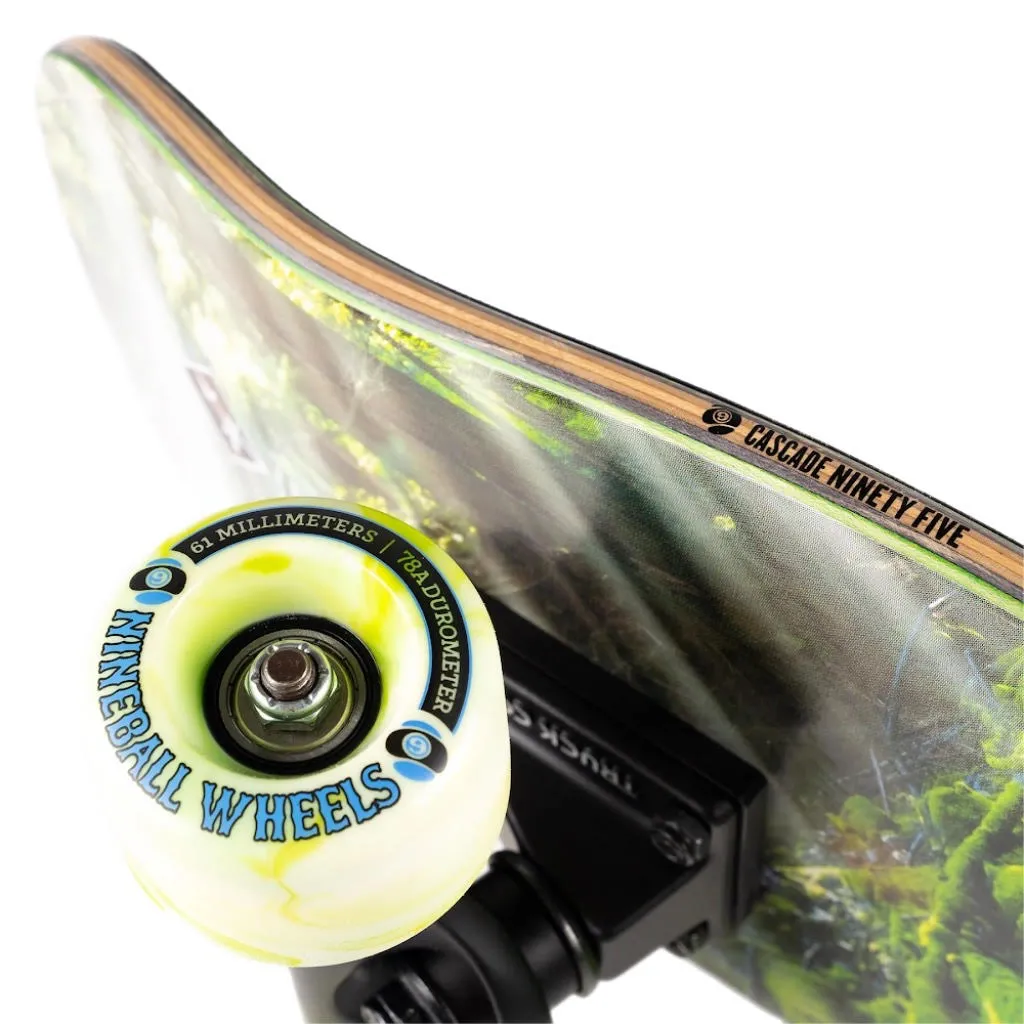Sector 9 Ninety Five