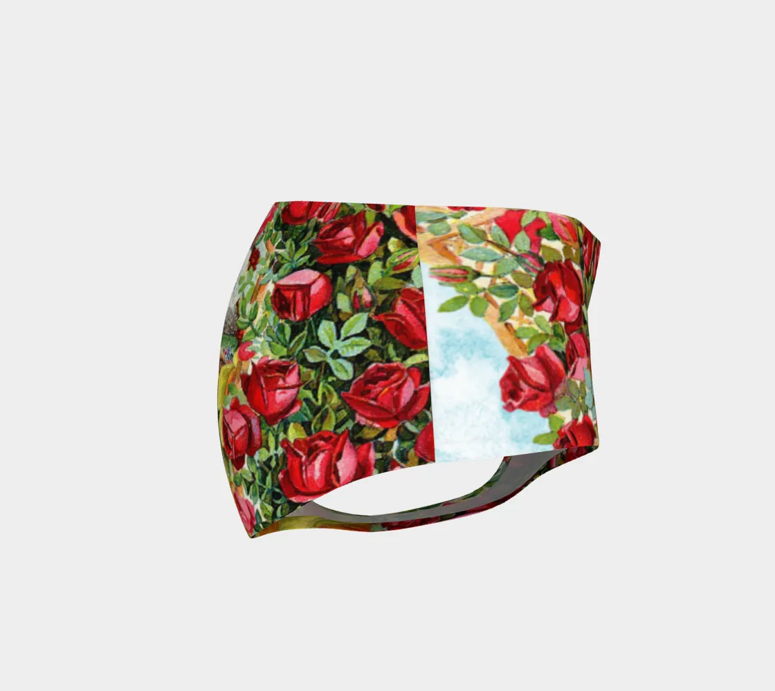 Shadow Brooke Swim Briefs