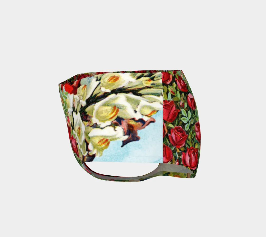 Shadow Brooke Swim Briefs