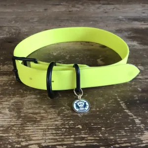 Waterproof Buckle Collar : Neon Yellow   Black