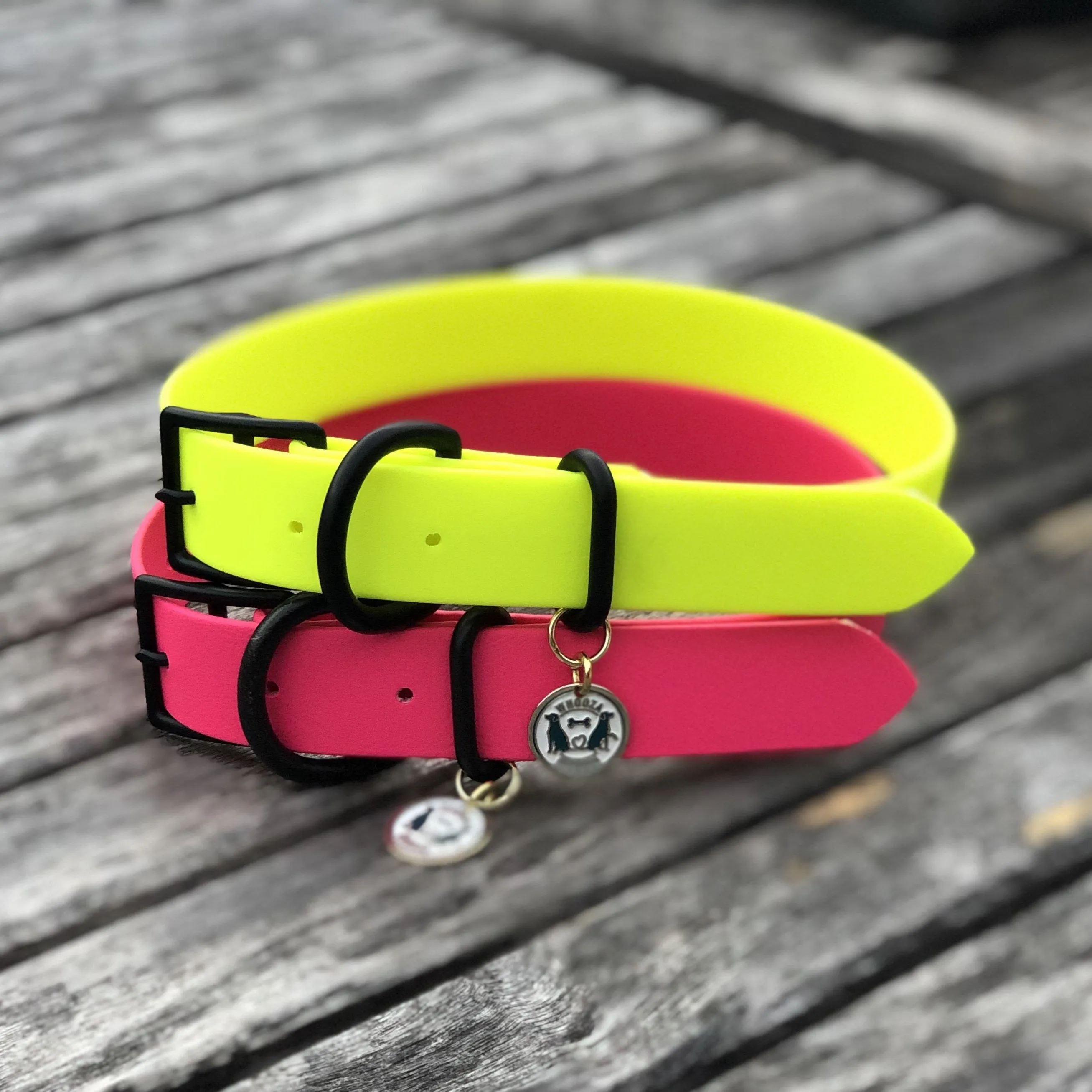 Waterproof Buckle Collar : Neon Yellow   Black