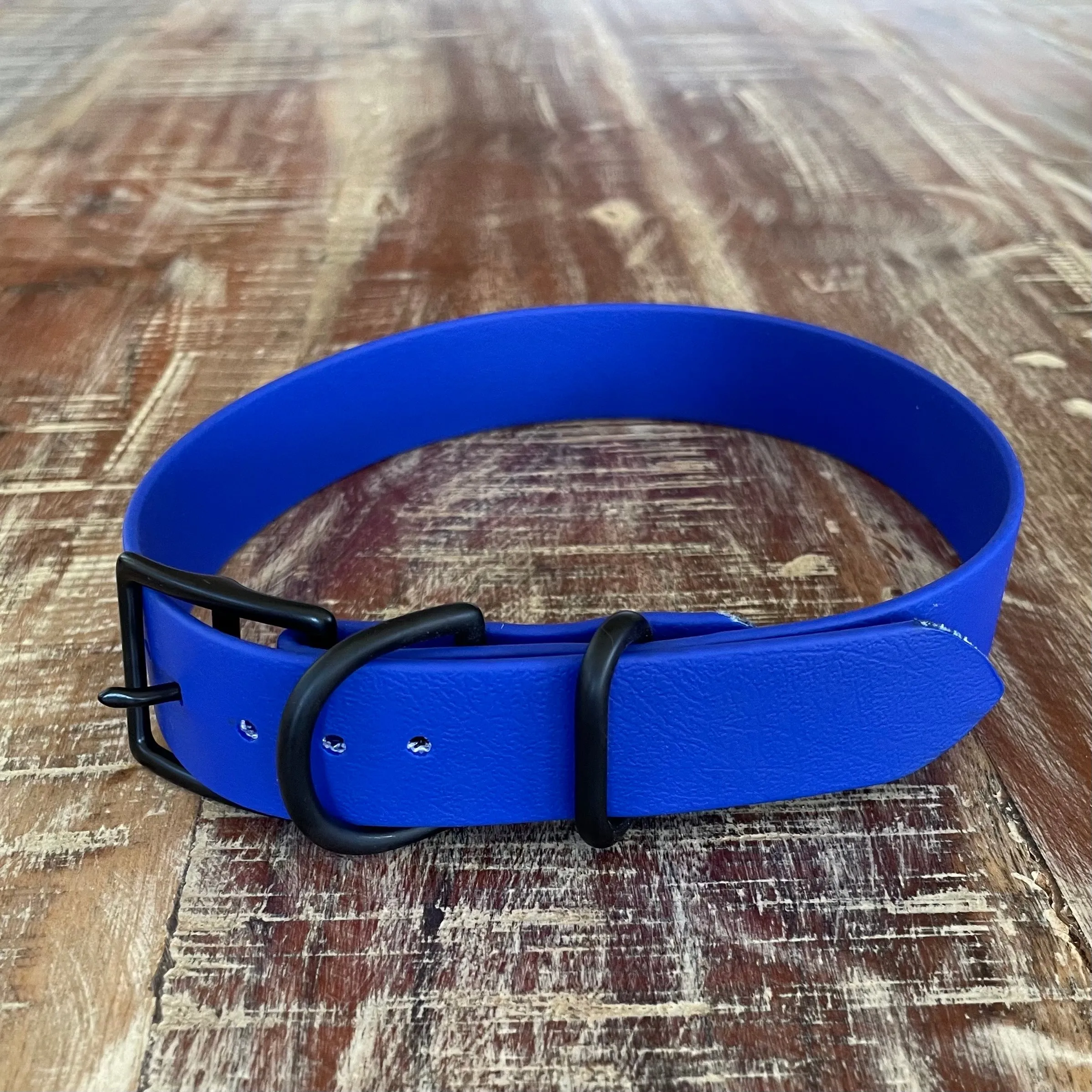 Waterproof Buckle Collar : Royal   Black