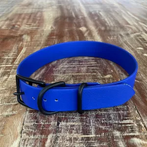 Waterproof Buckle Collar : Royal   Black