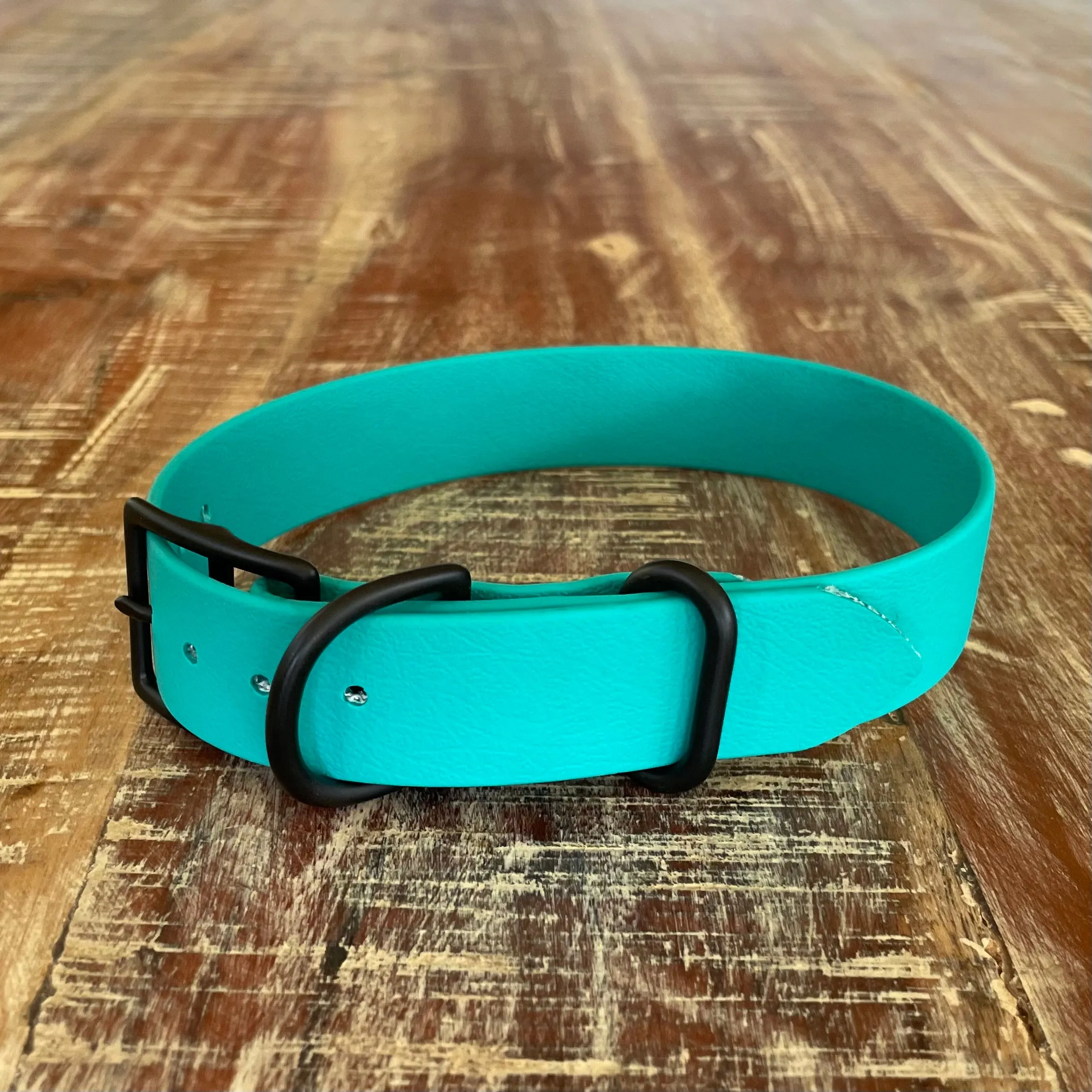 Waterproof Buckle Collar : Teal   Black