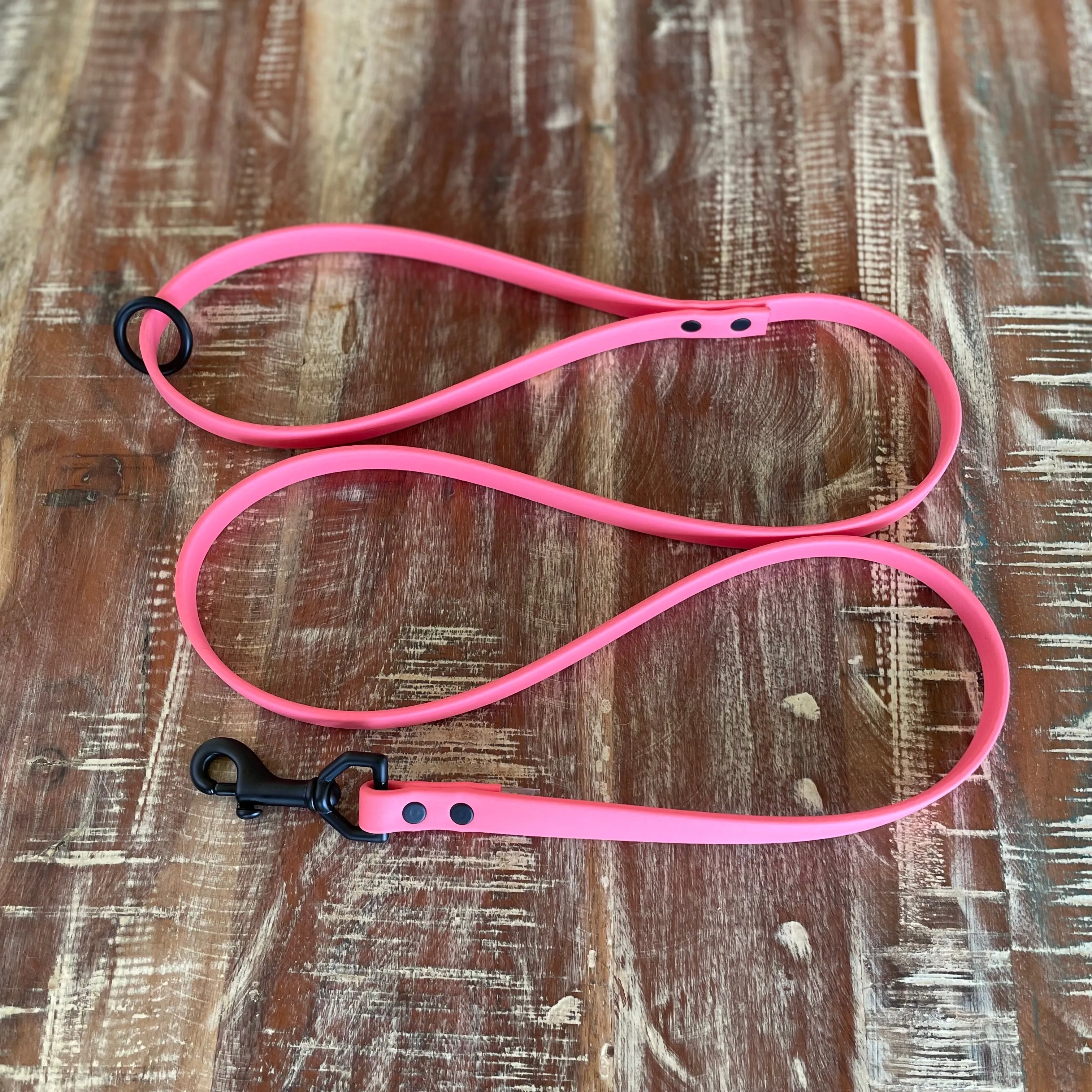 Waterproof Leash : Coral   Black
