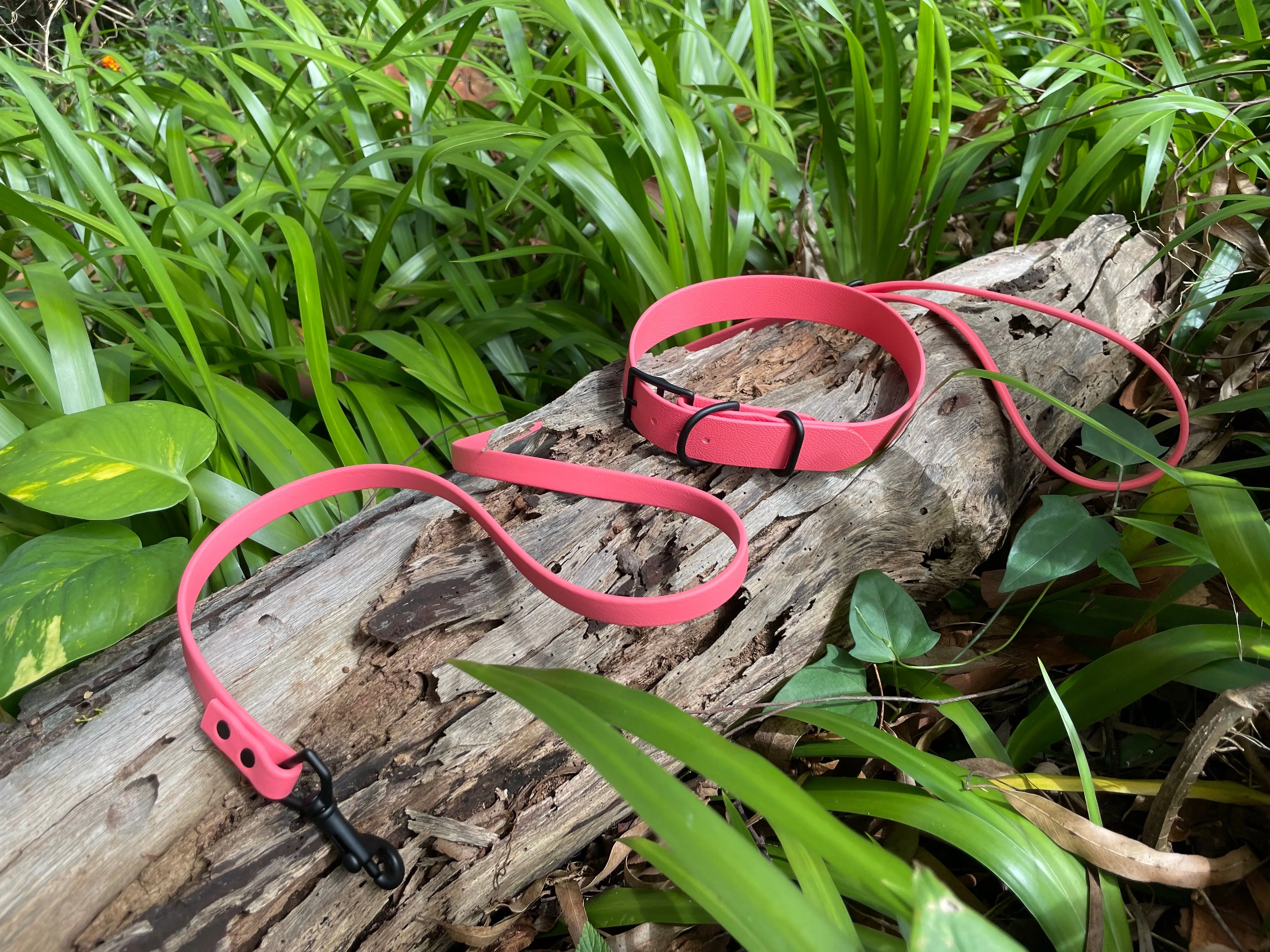 Waterproof Leash : Coral   Black