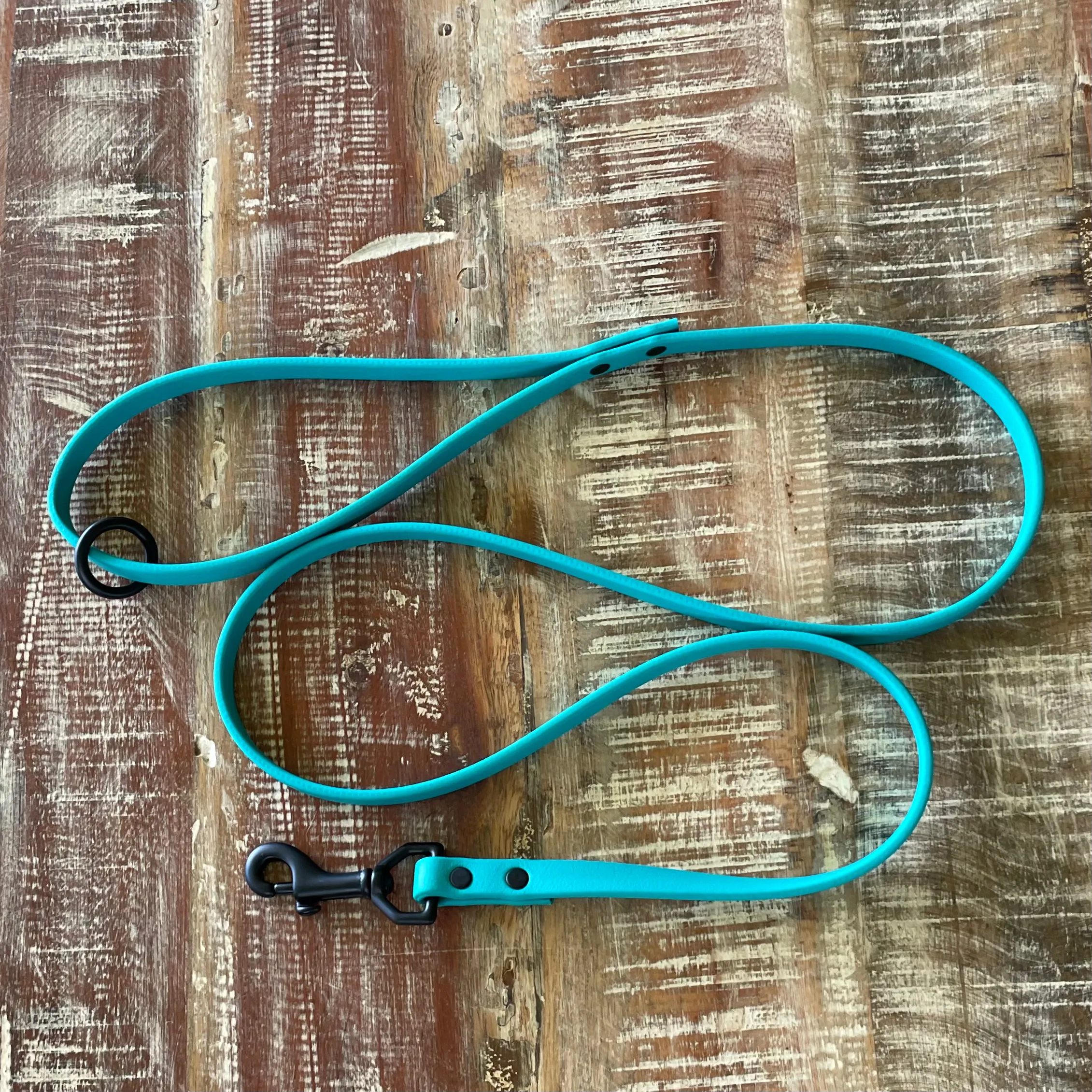 Waterproof Leash : Teal   Black
